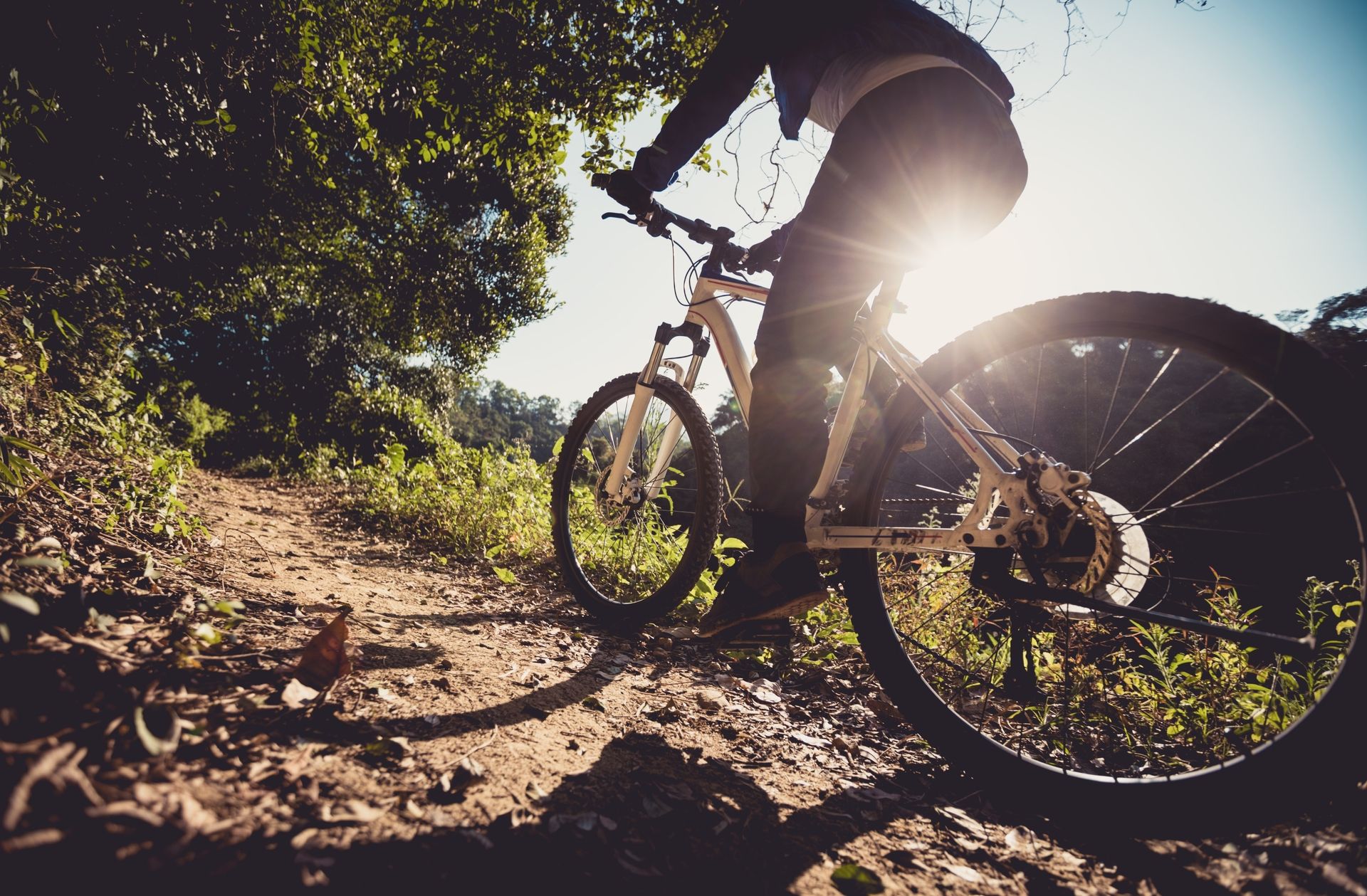 Person fährt Mountainbike auf einem Waldweg bei Sonnenlicht